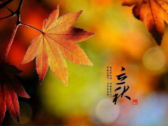 秋來了，莫慌！智慧主機(jī)依舊值得推薦的